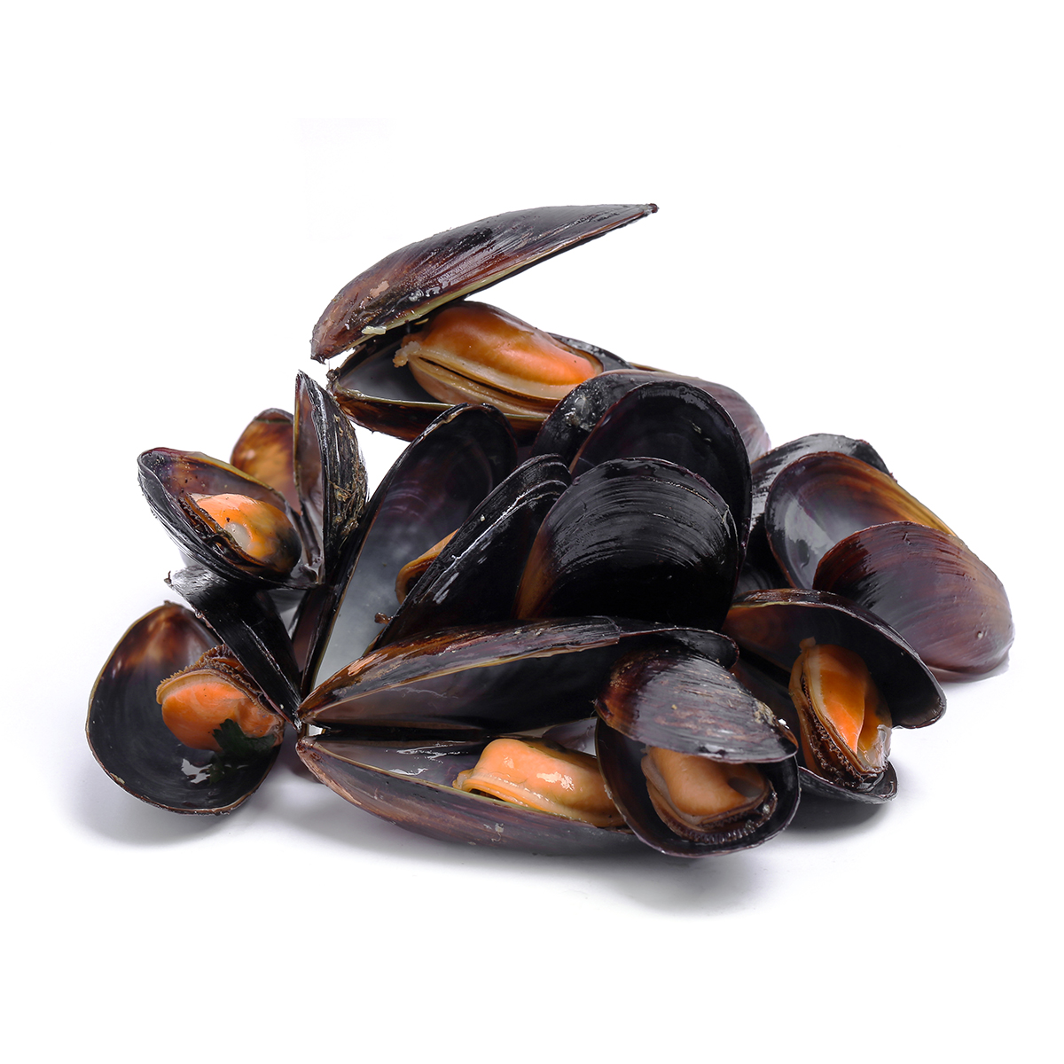 Cozze con guscio Confezione da 1kg Molluschi freschi